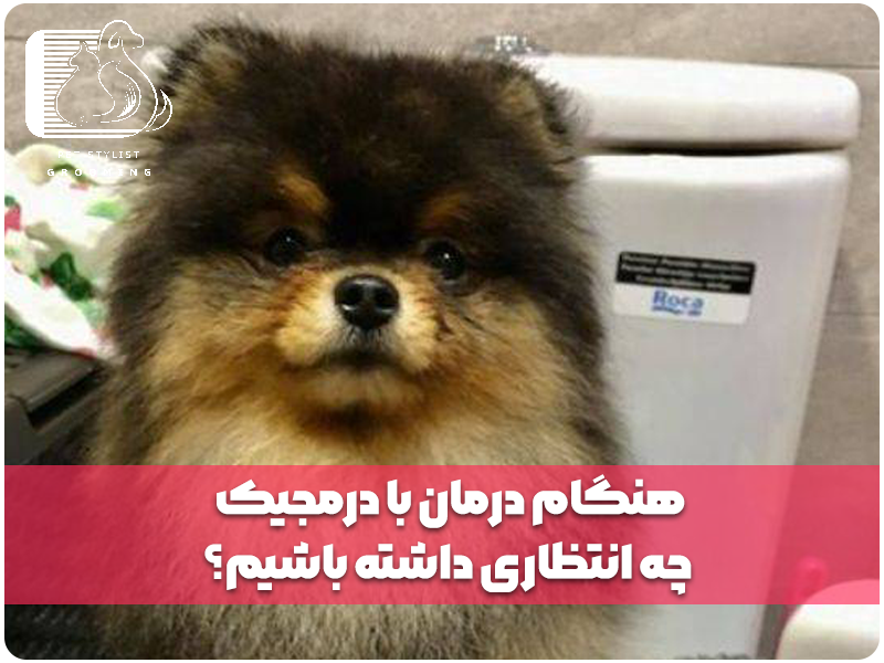 هنگام درمان با درمجیک چه انتظاری داشته باشیم؟